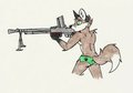 LMG Pinup: FM 24/29
