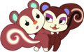 squirrels