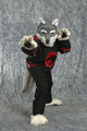 AC-10 Pounce pose by Trekwolf