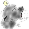Howl at the moon