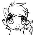 random OC pegasus