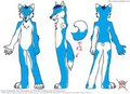 MaxFox Colors Ref. Sheet