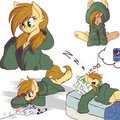 filly silvy