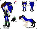 Shade The Hedgehog Refs by xSonadowLover103x