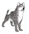 Realistic Gin by Ginga