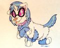 Vinyl Bark