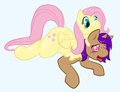 Fluttershy by Immelmann