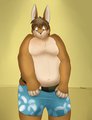 Really time for some new shorts, now by rourkie