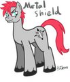 MetalShield