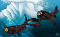 Ice Diving