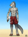 Otterwolf by tsaiwolf