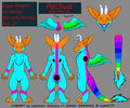 Pachua new reff