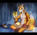 study Fox 