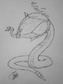 Meet Cactus Wren Rose Part 1