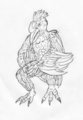 Rhinoceros Hornbill 