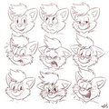 The many Shades of Landis