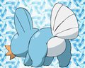 Mudkip