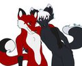 Best Fox Friends - Ayn and Forest by aynblackfox