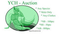 YCH - (OPEN) Male Furry by Reeje