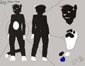 Ziggy Reference Sheet (Commission)