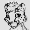 MFF14 Stuff - Sketch by Sunitai by Salmy