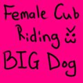 Giddyup!