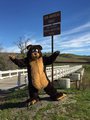 On the way to FC 2015