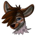 PER: Floof Headshot