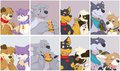 Houspets guest: food!
