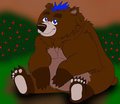 Bubba the bear  by TheLittleShapeshifter