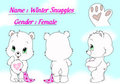Merri Bear 