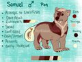 Samuel the bear and Jeffy the feeshy 