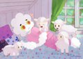 Year of the Sheep
