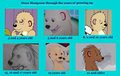 The Years of Growing Up