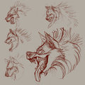 24 Jan Daily sketchs by CoyoteWolfox