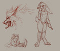 25 Jan Daily sketchs by CoyoteWolfox
