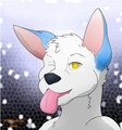 Skoll by Lydus