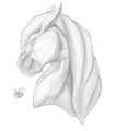 Horse Head by ares165