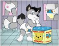 Pawpers commercial 2015