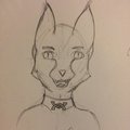 Front angle kitty by codipuppi