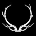 One White Stag - Apprehension