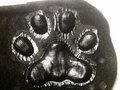 Shiny Black Latex Pawpads by IrradiatedRabbit