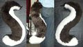 Large Tail - Brown and White - 2 ft. in length by IrradiatedRabbit
