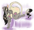 Cat socks? by Siyu