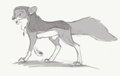 A Stroll
