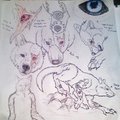 My fursona Stray by strayokami