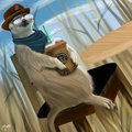 Meerkat practice by Kanou