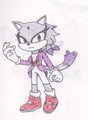 sonic next- Blaze