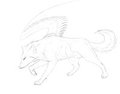 One Winged Wolf (Unfinished)