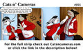 Cats n Cameras Strip #253 - Technical Knock Out